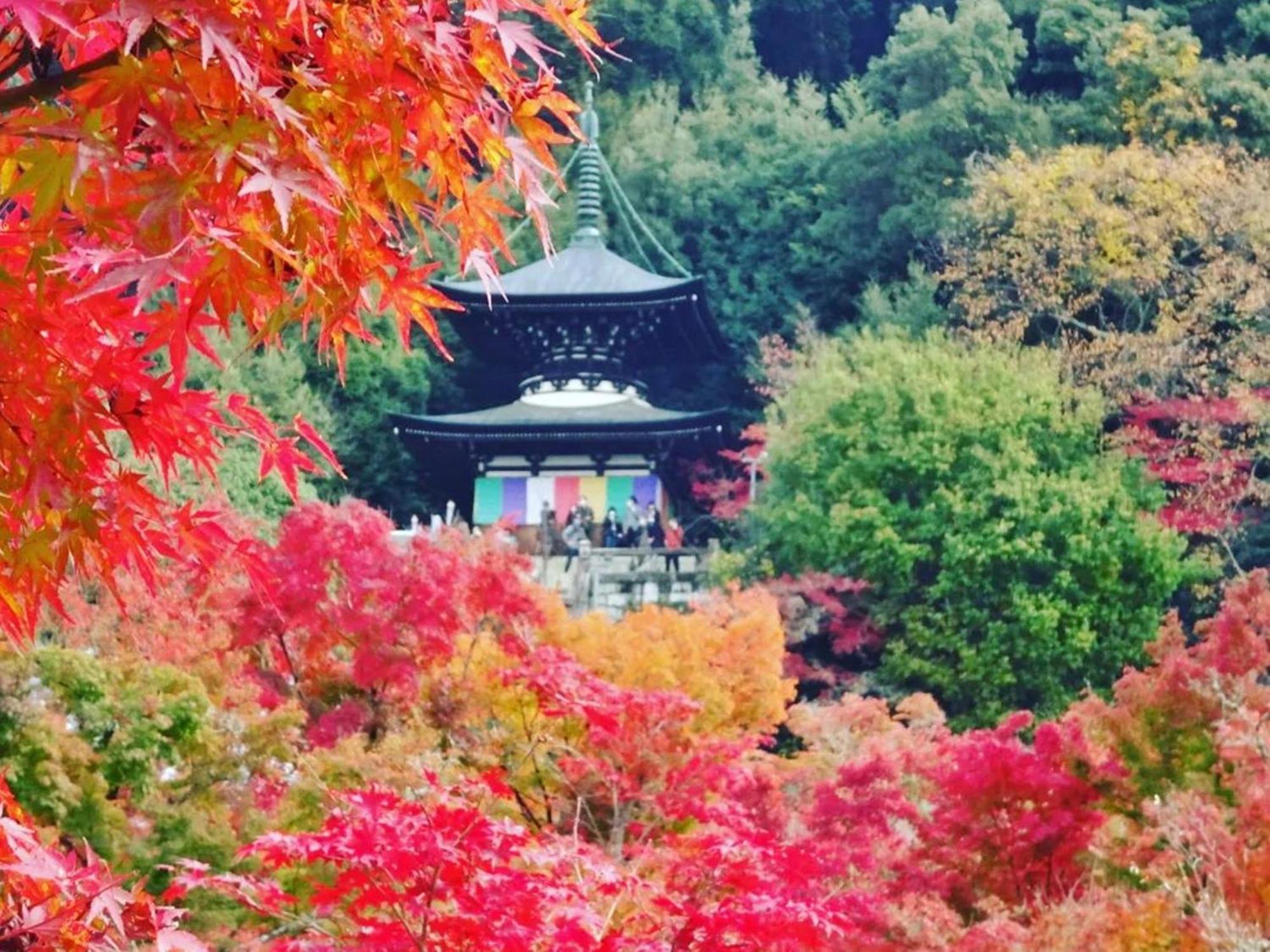 Yamamoto Ryokan Kyōto Esterno foto